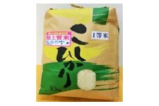 令和6年産 大多喜町産コシヒカリ精米10ｋｇ、年間12回お届け T17001