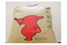 令和6年産大多喜町産コシヒカリ精米30ｋｇ、年間12回お届け T50002