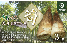  【数量・期間限定】大多喜町産 朝掘り「たけのこ」3kg 【2025年3月後半からお届け開始】W01541