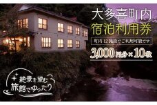 W10009 大多喜町内宿泊利用券3000円 10枚