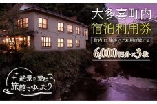 W06012 大多喜町内宿泊利用券6000円 3枚