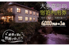 W02035 大多喜町内宿泊利用券6000円 1枚