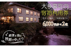 W04008 大多喜町内宿泊利用券6000円 2枚
