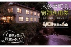 W12010 大多喜町内宿泊利用券6000円 6枚