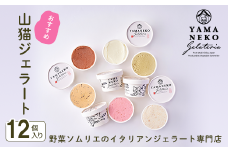 W02401 野菜ソムリエのイタリアンジェラート専門店＜山猫ジェラート＞おすすめ１２個セット