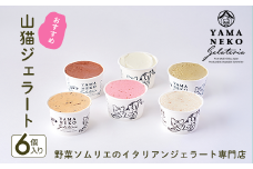 W01201 野菜ソムリエのイタリアンジェラート専門店＜山猫ジェラート＞おすすめ６個セット
