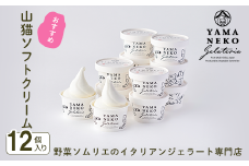 W02037 野菜ソムリエのイタリアンジェラート専門店＜山猫ソフトクリーム＞１２個セット