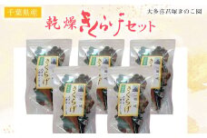 W012501 乾燥きくらげセット