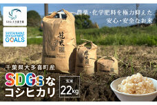 W03402 【新米】令和６年産 「SDGsなコシヒカリ」玄米22㎏ / 米 こめ コメ 玄米 こしひかり コシヒカリ 籠米 バスケットボール esDGs OTAKI.EXE SDGs 大多喜町 千葉県