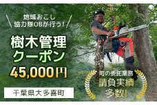 TS15001 地域おこし協力隊OBが行う！樹木管理クーポン　45,000円