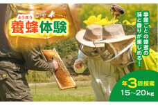 W50005 養蜂体験(養蜂オーナー)　ふるさと納税 はちみつ ハチミツ 蜂蜜 養蜂 養蜂オーナー 蜂蜜採り 年3回 自然体験 千葉県 大多喜町