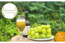 【2025年4月下旬発送開始！】 W01205 クラフトビール　MATERIAL  マスカット　３本  セット　ふるさと納税 ビール 麦酒 クラフトビール 麦芽 マスカット 風味 香り フルーティ 爽やか ギフト 千葉県 大多喜町