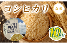 令和7年産 新米コシヒカリ玄米 10kg T01531 /  検査済米（1等） 米 玄米 コシヒカリ こしひかり こめ コメ ごはん ご飯 千葉県 大多喜町 