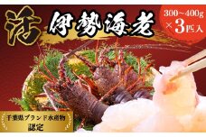 D121 活伊勢えび１.１kg（300～400g×３匹入）