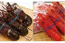 G112 冷凍生伊勢えびと冷凍蒸し伊勢えび詰合せ