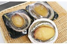 G205 冷凍蒸しアワビB
