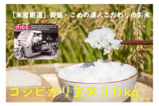 E402 コメアミーゴこだわりのいすみ米コシヒカリ３０ｋｇ（玄米）
