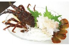B120 冷凍伊勢海老Ａ