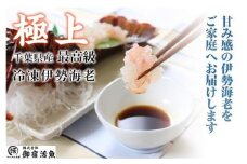 C131 活〆生食用伊勢海老（冷凍）５００ｇ（２５０～３００ｇ）×２匹
