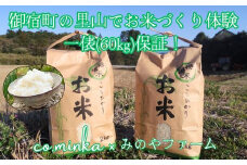 Ｉ７０１　２０２５年度田んぼ区画オーナー制度（２区画）【個人向け】ご友人同士参加ＯＫ！（お申込者+２名様まで）ご家族参加も大歓迎！