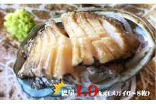 G203 活アワビＢ