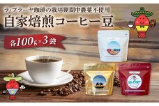 ラ・プラーヤ珈琲の『栽培期間中農薬不使用』自家焙煎コーヒー豆（100g×3袋） ONJM001 / コーヒー豆 コーヒー 豆 珈琲 栽培期間中農薬不使用 ブレンドコーヒー ブレンド ご当地 ご当地コーヒー 自家焙煎 ギフト 贈り物 プレゼント La Playa Coffee