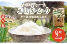 令和7年産新米 こしひかり 2ｋｇ（白米） みのやファーム 耕作放棄地解消応援米  【 コシヒカリ こしひかり おいしい お米 米 こめ 自然栽培 贈り物 ギフト 千葉県 御宿町 人気 おすすめ ランキング 】 ONJF001