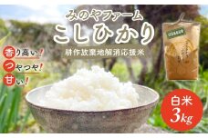 令和7年産新米 こしひかり 3ｋｇ（白米） みのやファーム耕作放棄地解消応援米  【 コシヒカリ こしひかり おいしい お米 米 こめ 自然栽培 贈り物 ギフト 千葉県 御宿町 人気 おすすめ ランキング 】 ONJF002