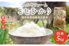 令和7年産新米 こしひかり 5ｋｇ（白米） みのやファーム耕作放棄地解消応援米  【 コシヒカリ こしひかり おいしい お米 米 こめ 自然栽培 贈り物 ギフト 千葉県 御宿町 人気 おすすめ ランキング 】 ONJF003