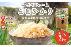令和7年産新米 こしひかり 2ｋｇ（玄米） みのやファームの耕作放棄地解消応援米 【 コシヒカリ こしひかり おいしい お米 米 こめ 自然栽培 贈り物 ギフト 千葉県 御宿町 人気 おすすめ ランキング 】 ONJF004