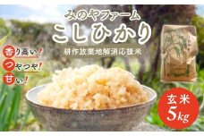 令和7年産新米 こしひかり 5ｋｇ（玄米） みのやファームの耕作放棄地解消応援米 【 コシヒカリ こしひかり おいしいお米 玄米 自然栽培 贈り物 ギフト 千葉県 御宿町 人気 おすすめ ランキング 】 ONJF006