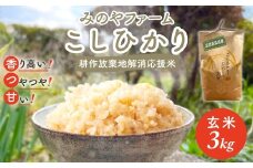 令和7年産新米 こしひかり 3ｋｇ（玄米）　みのやファームの耕作放棄地解消応援米 【 コシヒカリ こしひかり おいしいお米 玄米 自然栽培 贈り物 ギフト 千葉県 御宿町 人気 おすすめ ランキング 】 ONJF005