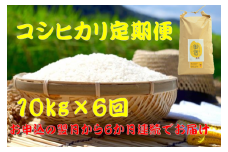  【お米定期便】御宿産コシヒカリ１０ｋｇ×６か月