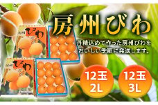 【2025年度先行予約】 房州びわ 24玉（3Lサイズ12玉と2Lサイズ12玉） ／ ビワ 枇杷 大玉 産地直送 千葉県 特産 フルーツ 果物 びわ F22X-007