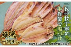 【手塩づけ】厳選干物セット ／ 魚 ひもの 加工品 手塩づくり 千葉県 特産 鋸南町 提灯屋干物店 F22X-009