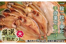【手塩づけ】厳選干物セット（大） ／ 魚 ひもの 加工品 手塩づくり 千葉県 特産 鋸南町 提灯屋干物店 F22X-012