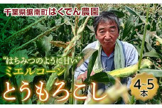 はくでん農園のとうもろこし ミエルコーン 4～5本 （1.5kg） 農家直送 トウモロコシ 千葉県 鋸南町 F22X-078