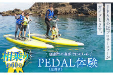 PEDAL（足漕ぎ）SUP体験（約60分） F22X-088