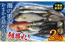 朝獲れ！海の恵みおまかせ詰め合わせセット 2kg F22X-114