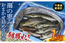 朝獲れ！海の恵みおまかせ詰め合わせセット 1kg F22X-113