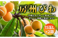 【2025年度先行予約】 房州びわ L15玉×2箱 ／ ビワ 枇杷 中玉 産地直送 千葉県 特産 フルーツ びわ 果物  F22X-139