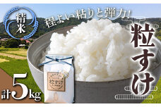 令和6年産米 新米 粒すけ 精米 5kg （5kg×1袋） 白米 お米 ご飯 米 千葉県 鋸南町 F22X-136
