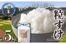 令和7年産米 新米 粒すけ 精米 5kg （5kg×1袋） 白米 お米 ご飯 米 千葉県 鋸南町 F22X-136