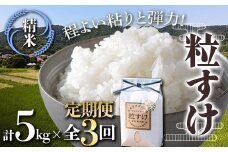 新米 【定期便3回連続お届け】鋸南米 粒すけ 5kg 白米 お米 ご飯 米 千葉県 鋸南町 F22X-154