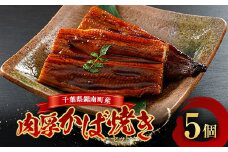千葉県鋸南町産 無投薬 肉厚かば焼き5個セット 個包装 国産 養殖 鰻 うなぎ ウナギ 蒲焼き かば焼き 冷凍 千葉県 鋸南町 F22X-189