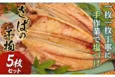【手塩づけ】“さば”の干物 5枚セット サバ 鯖 魚 ひもの 加工品 手塩づくり 千葉県 特産 F22X-177