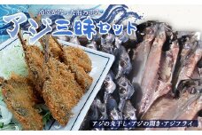 【保田漁業協同組合】漁協が作った海の恵み アジ三昧セット （アジの丸干し・アジの開き・アジフライ） あじ おつまみ ごはんのお供 ひらき おかず 鋸南町 F22X-204