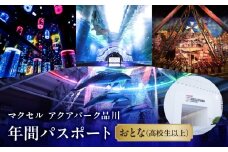 マクセル アクアパーク品川　年間パスポート　おとな（高校生以上）
