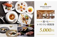 【グランドニッコー東京 台場】（選べる）レストラン利用券　5,000円