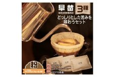 【早苗】焙煎珈琲豆（どっしりとした苦みを味わうセット　3種×各100g）粉 スペシャルティコーヒー 珈琲 セット 3種 しっかり焙煎 苦め コク深 ジッパー チャック付き 粉 東京 新宿 0020-005-S05-2